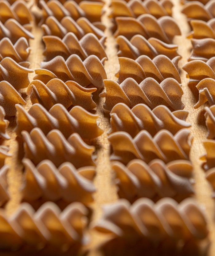 Pasta Fanelli 