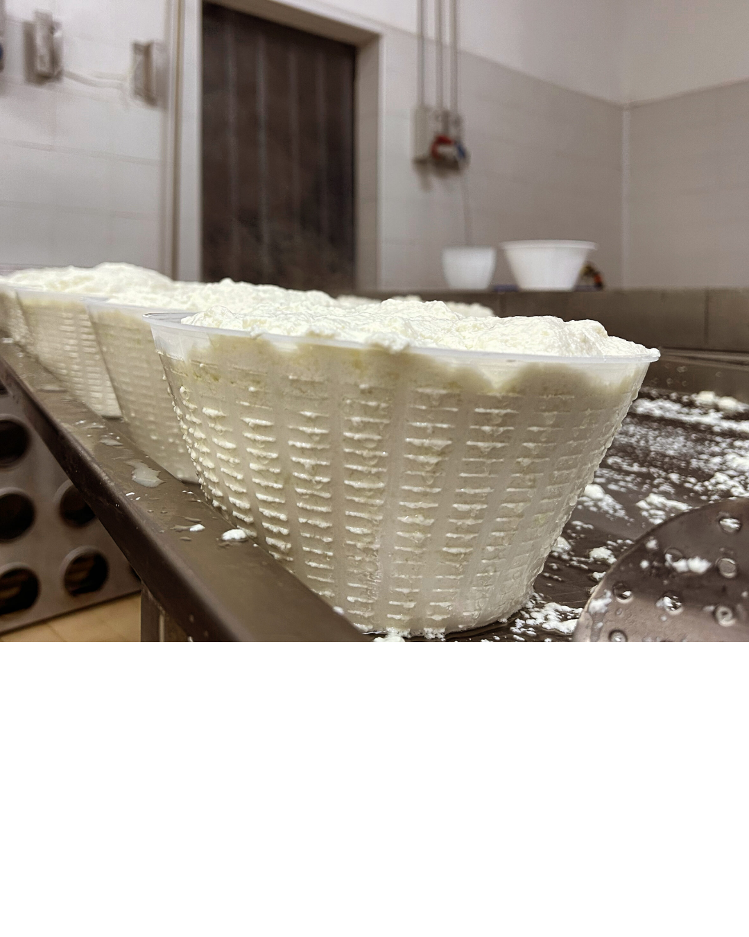 PICCOLA FORMAGGERIA ARTIGIANA DI BORGOGNONI MARCO