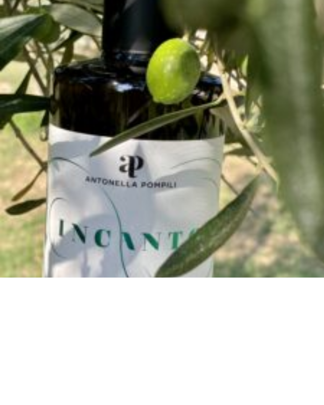 ANTOLIO SOC. AGR. DI ANTONELLA POMPILI