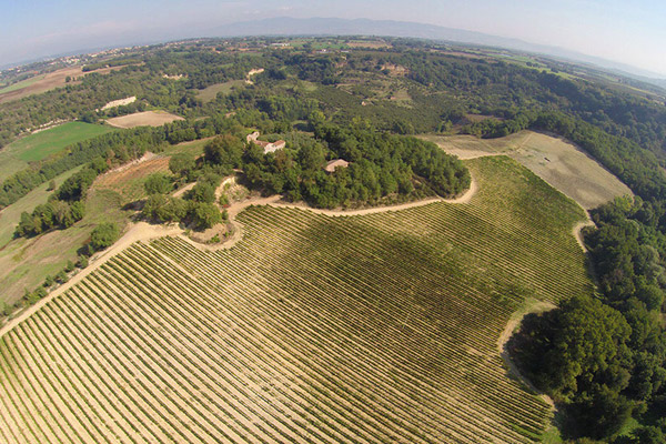 PODERE GRECCHI