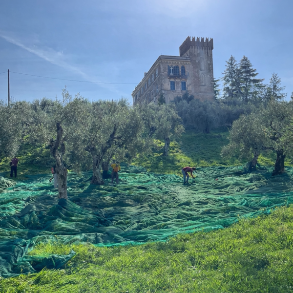 AZIENDA AGRICOLA RICCI BARBARA CASTELLO SANTA MARGHERITA